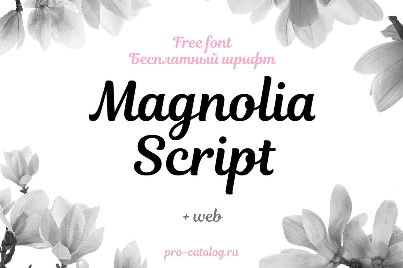 Бесплатный шрифт Magnolia с кириллицей скачать