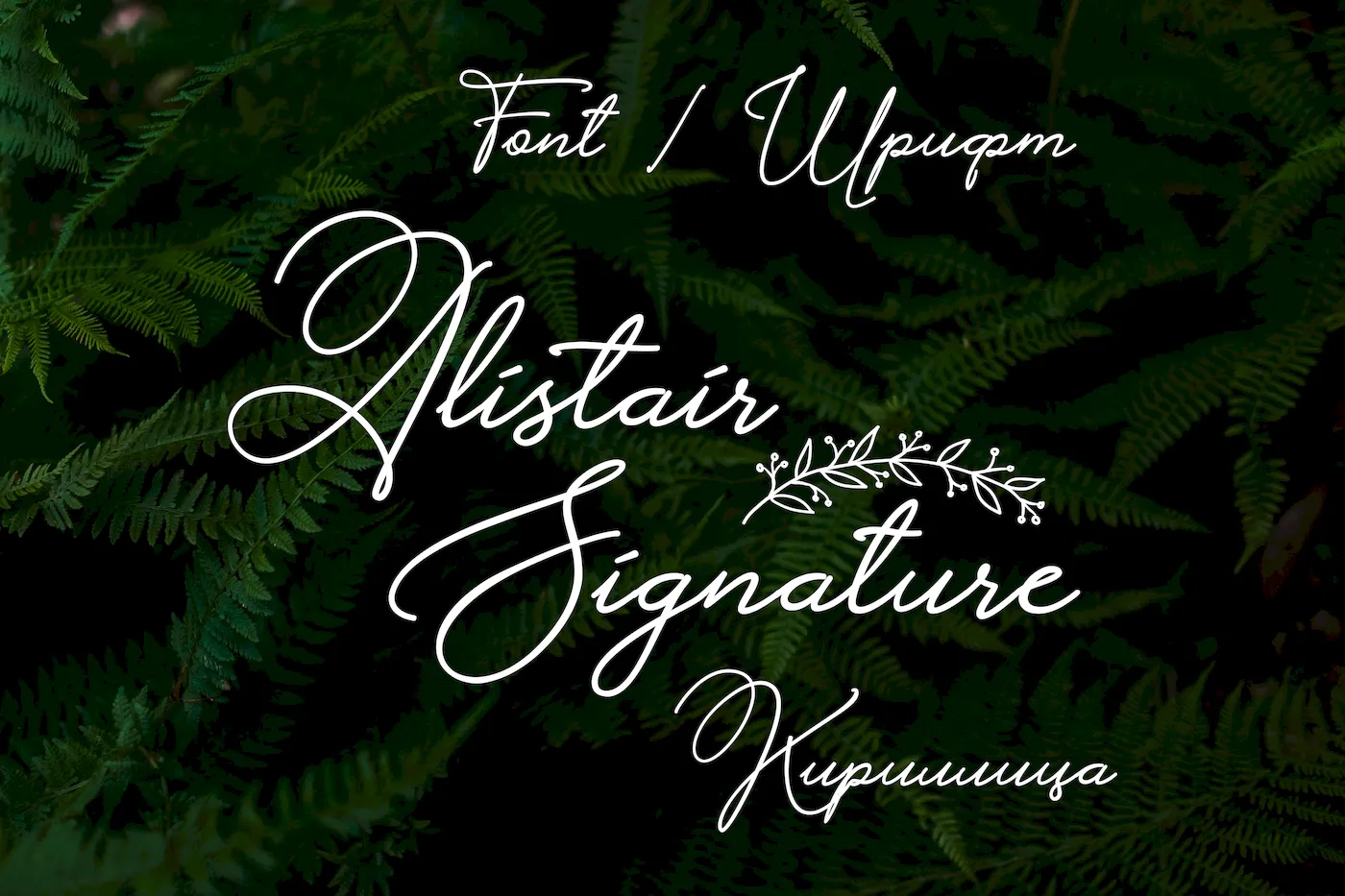 Шрифт Alistair Signature Cyrillic