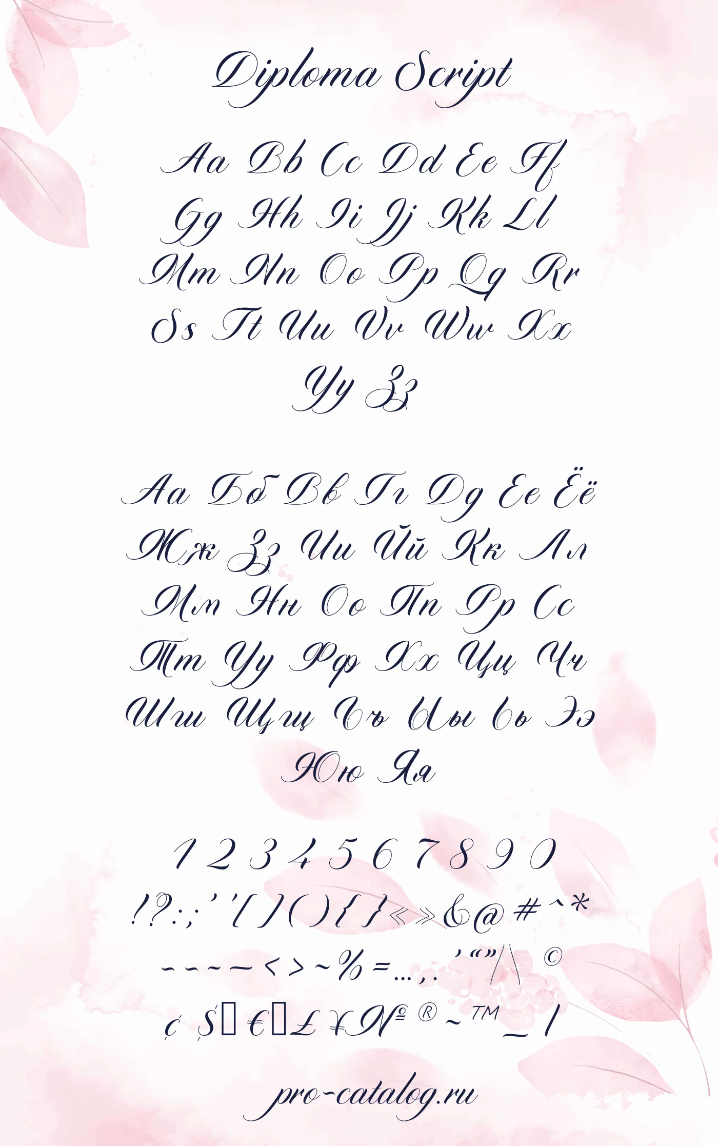 Шрифт Diploma Script Basic + Ornaments Cyrillic