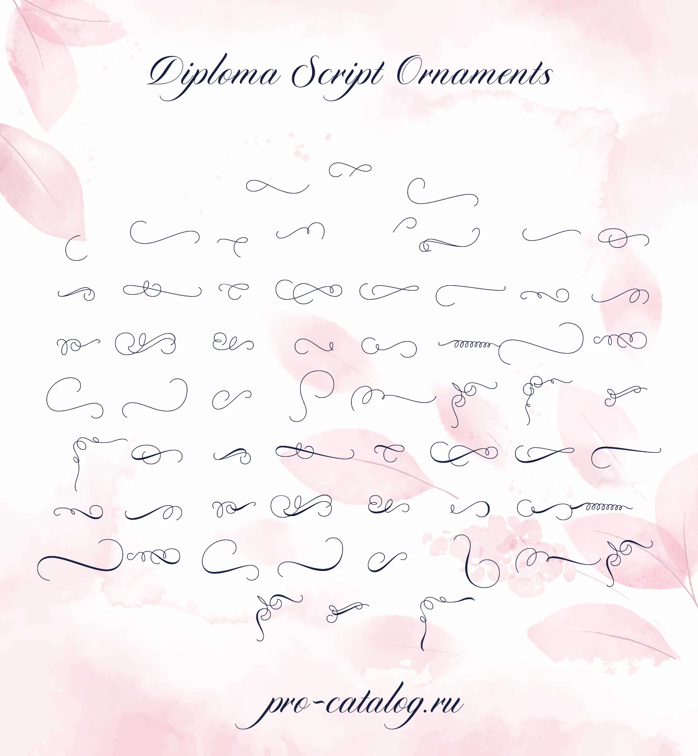 Шрифт Diploma Script Basic + Ornaments Cyrillic