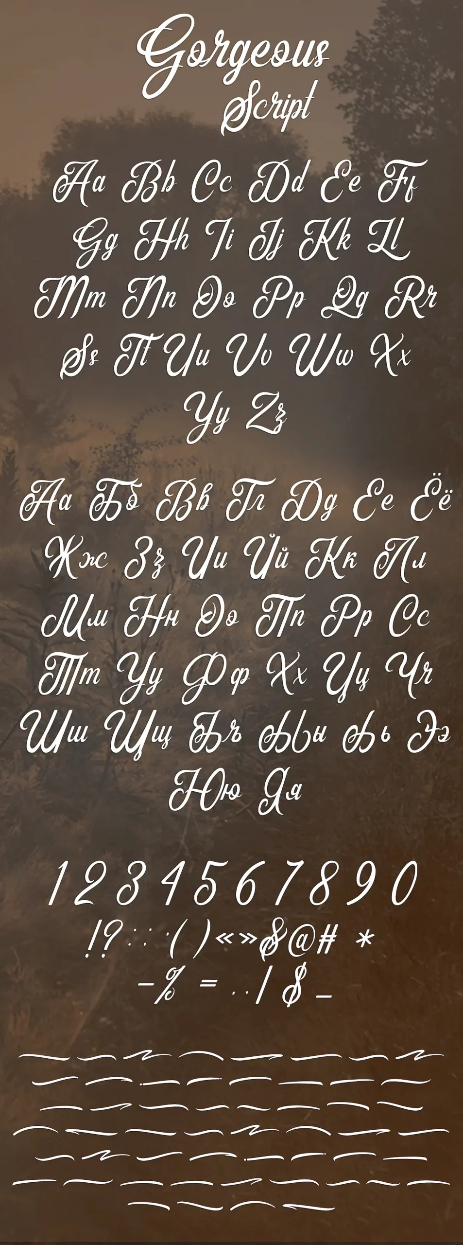 Шрифт Gorgeous Script Cyrillic