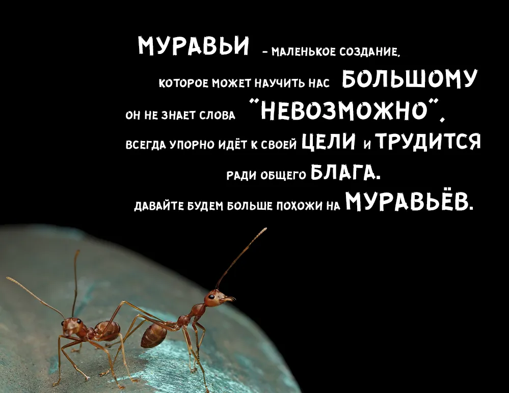 Шрифт Guerrilla Cyrillic