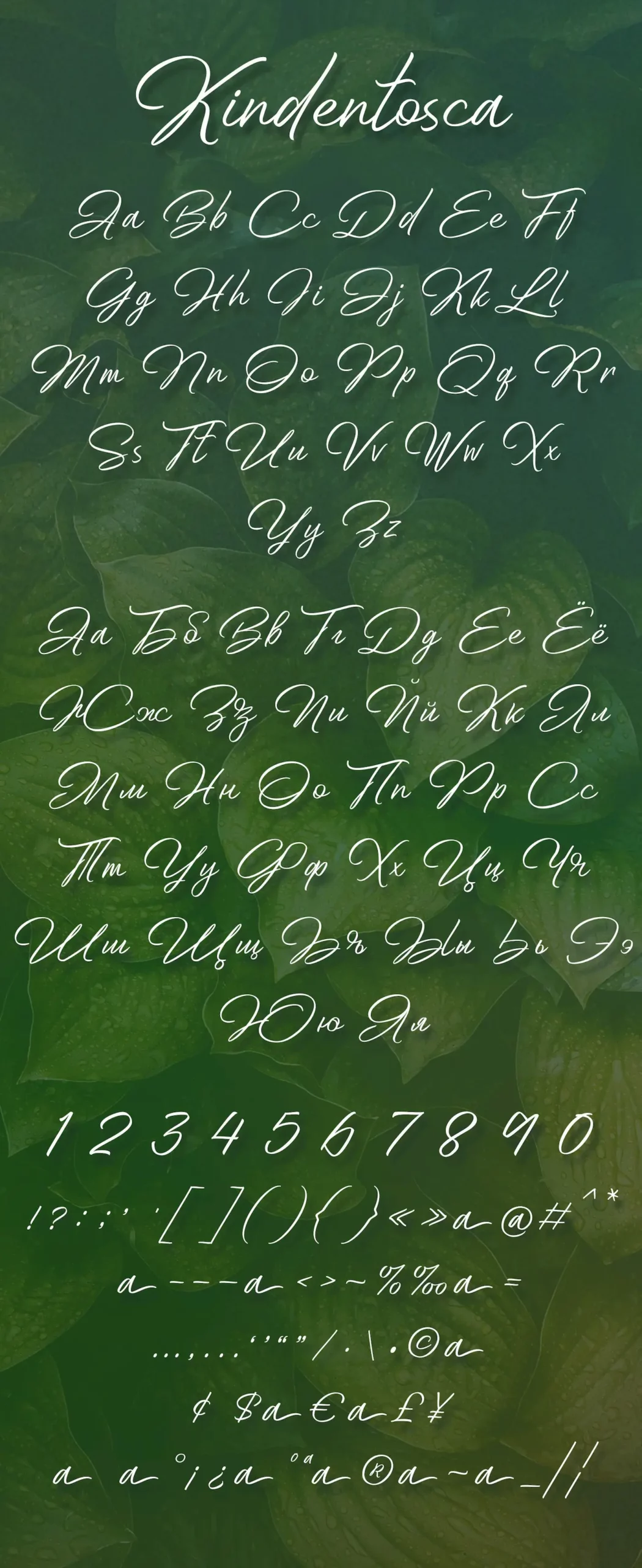 Шрифт Kindentosca Cyrillic