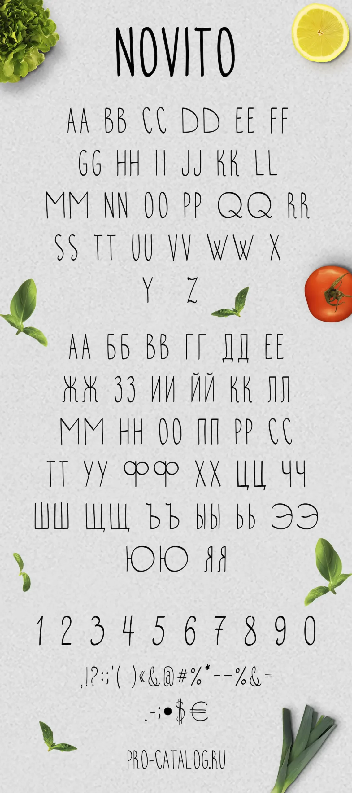 Шрифт Novito Cyrillic