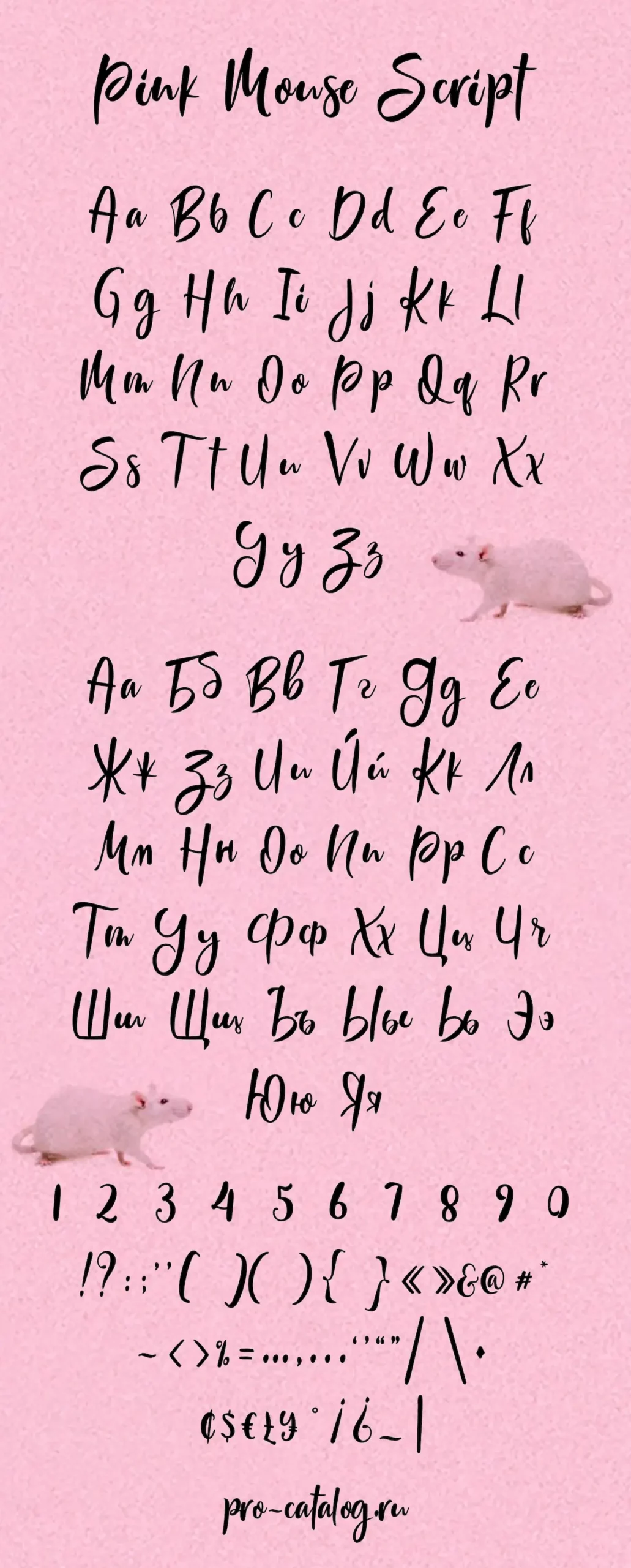Шрифт Pink Mouse Script Cyrillic