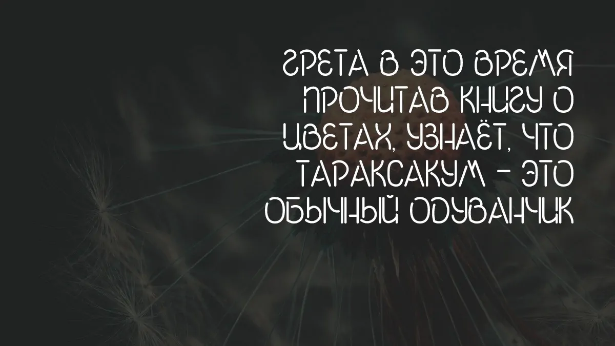 Шрифт Taraxacum Cyrillic