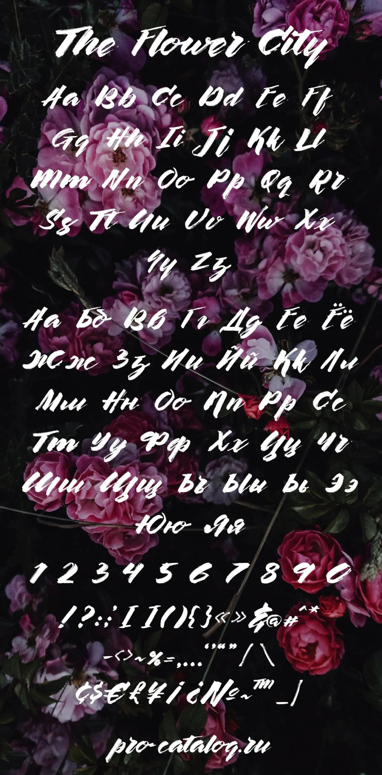 Шрифт The Flower City Cyrillic