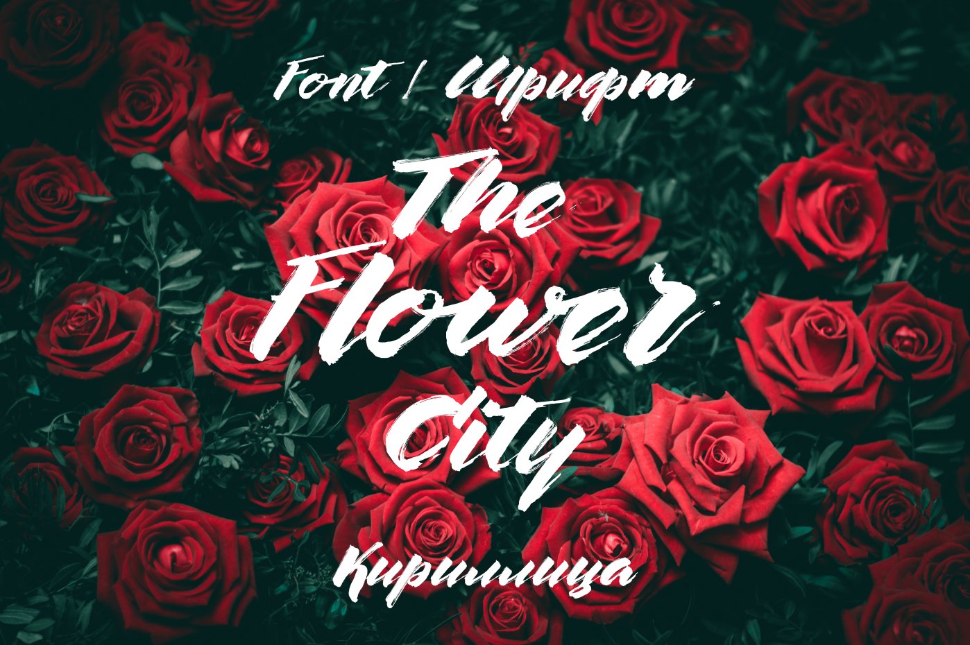 Шрифт The Flower City Cyrillic